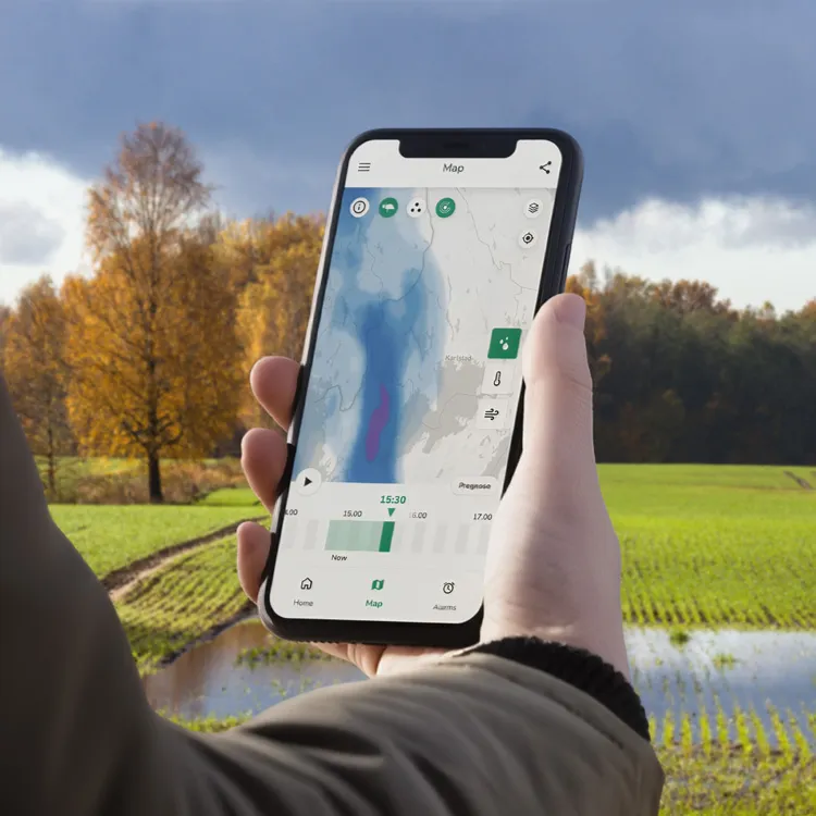 Una mano che regge uno smartphone su cui è visualizzata una mappa meteorologica con le previsioni delle precipitazioni, su uno sfondo di un prato verde e alberi autunnali.