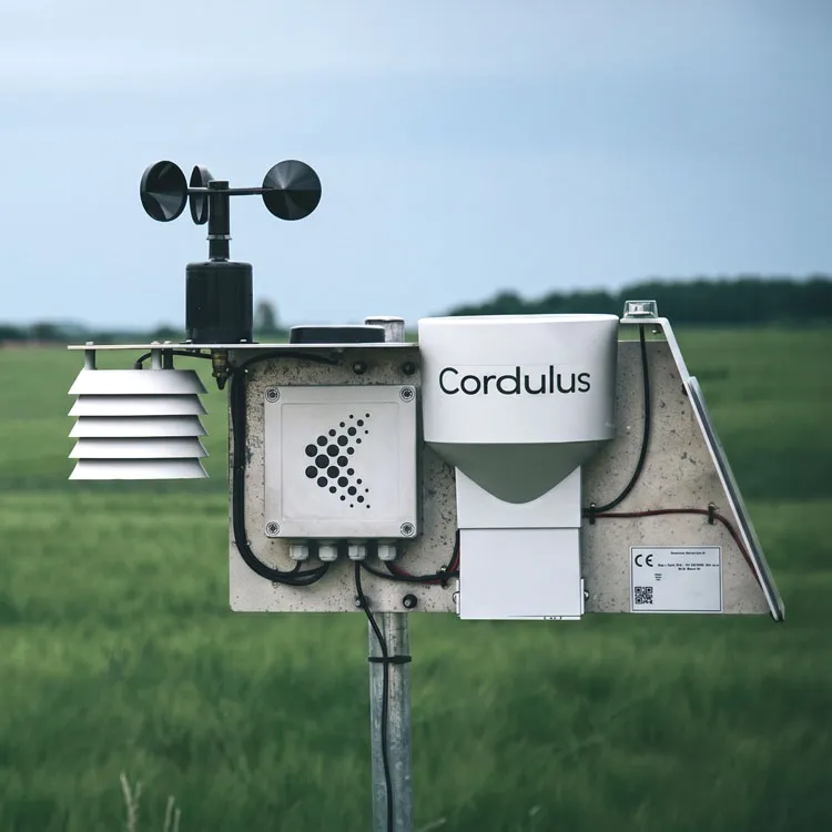 Cordulus weather station version one with anemometer and sensors on a pole in a green field.