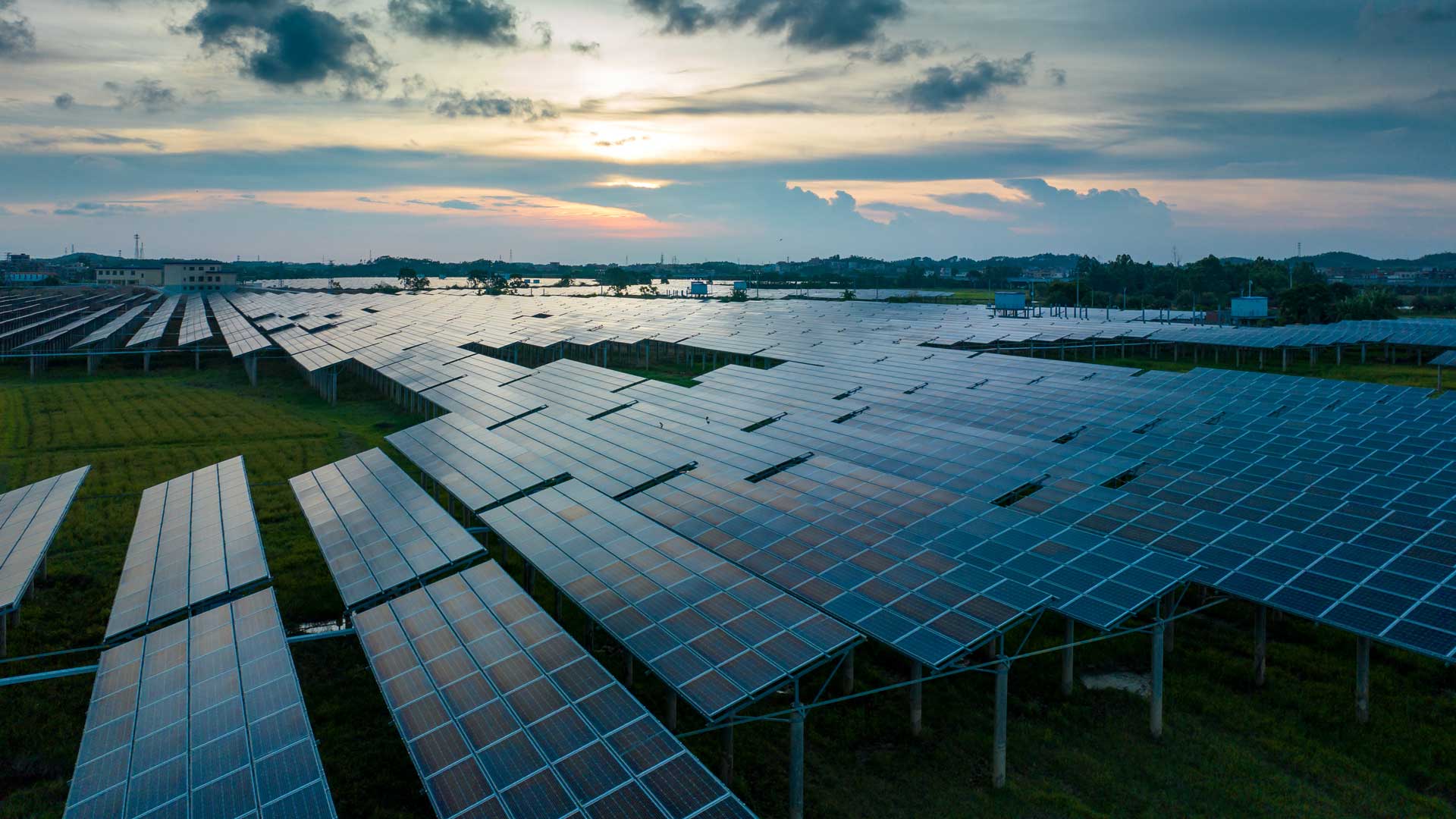 Expansive solar farm with numerous solar panels installed in rows on green grass under a cloudy sky at sunset.