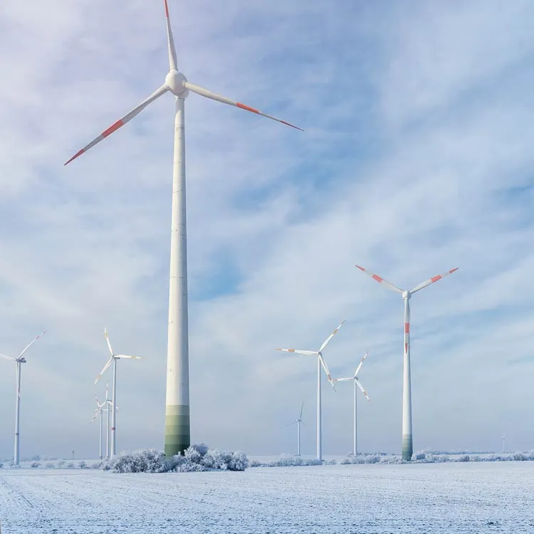 Multiple wind turbines standing in a snow-covered field under a cloudy sky, with frost on bushes near the turbine bases.