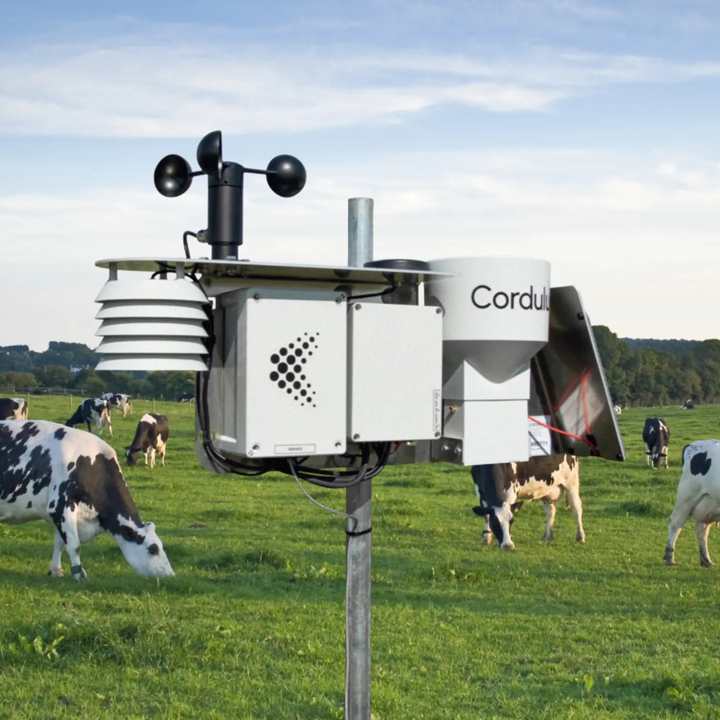 Save money with local soil temperature