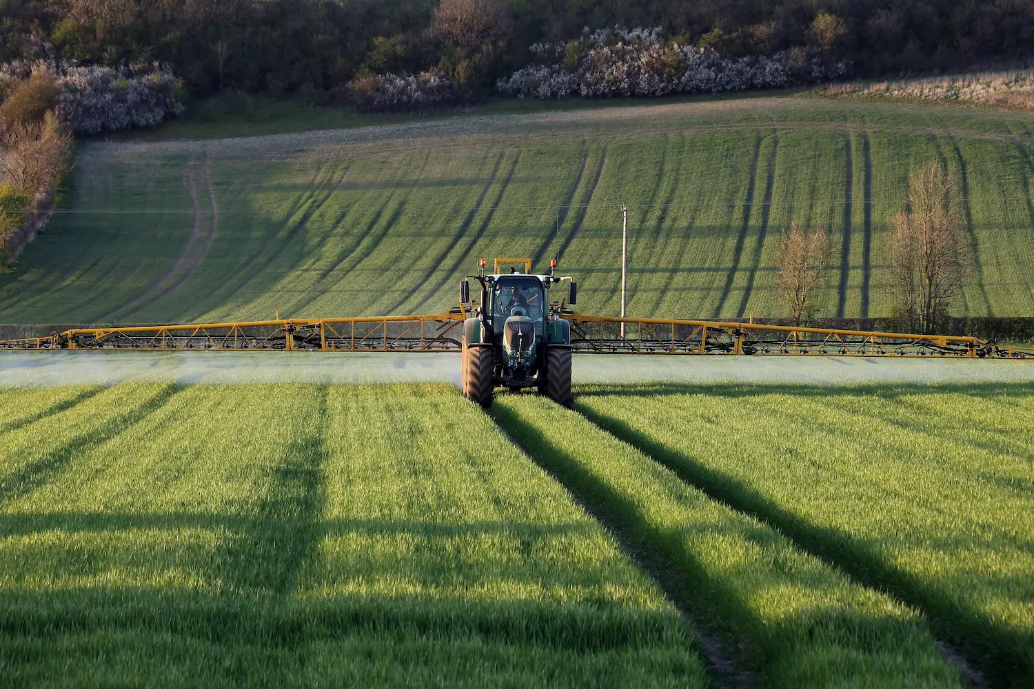 Optimal application of plant protection products