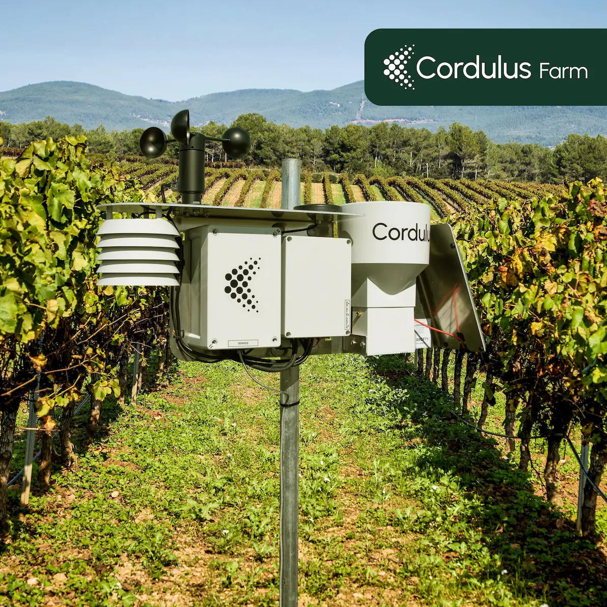 Cordulus Farm se lanza en España