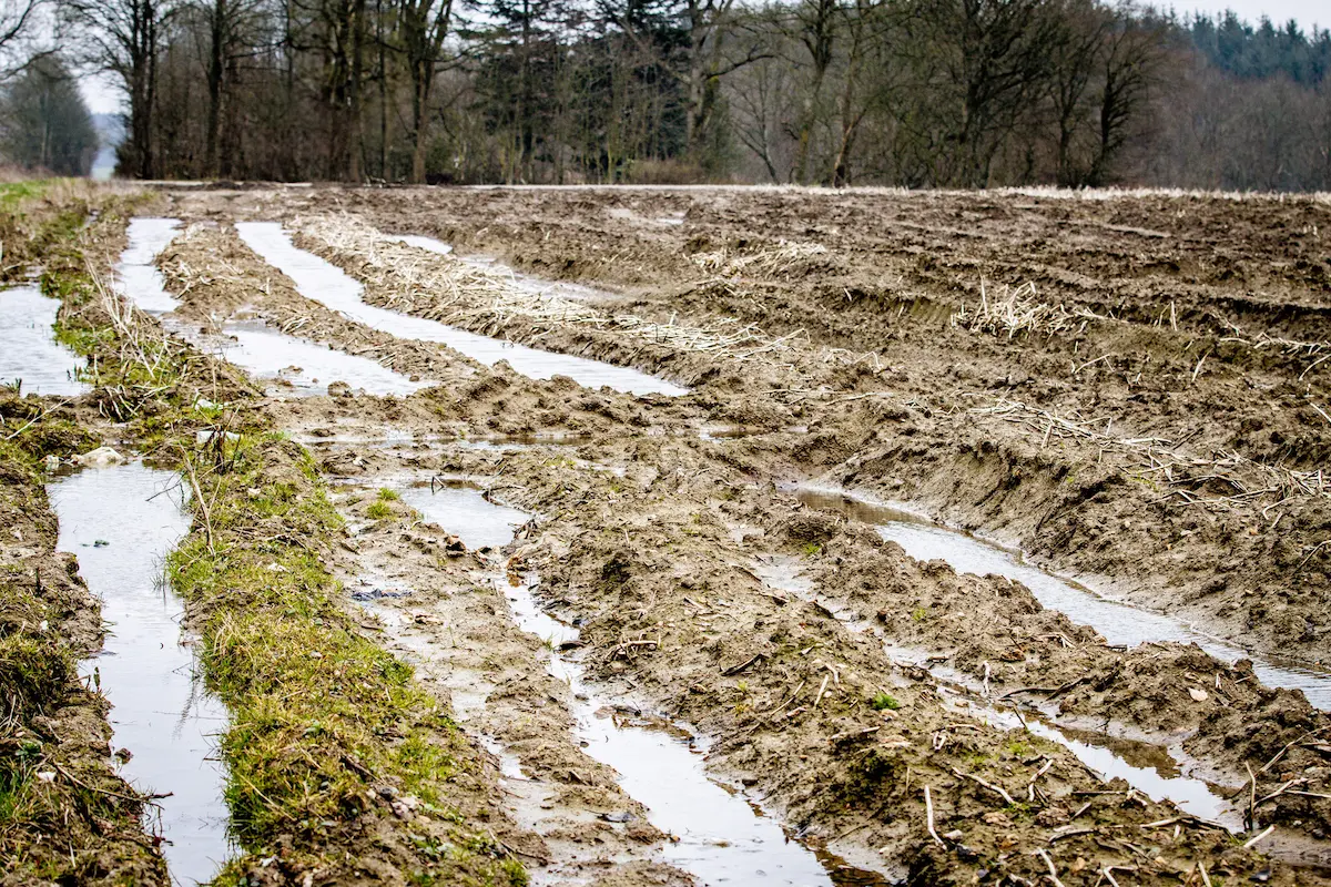 Don't let the rain wash away your profits