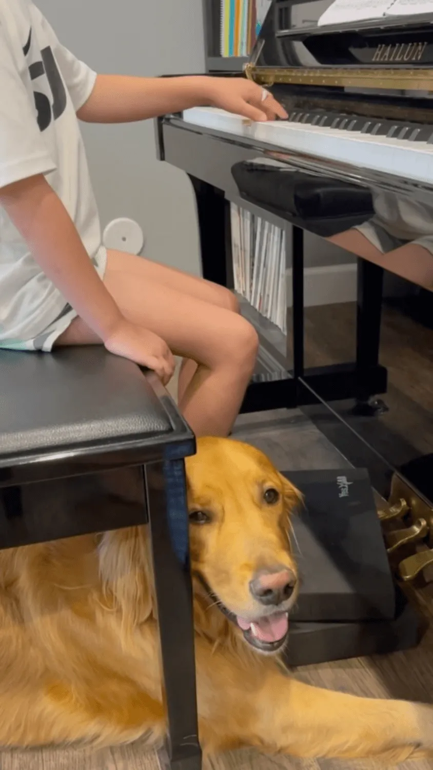 student playing piano with ollie below bench