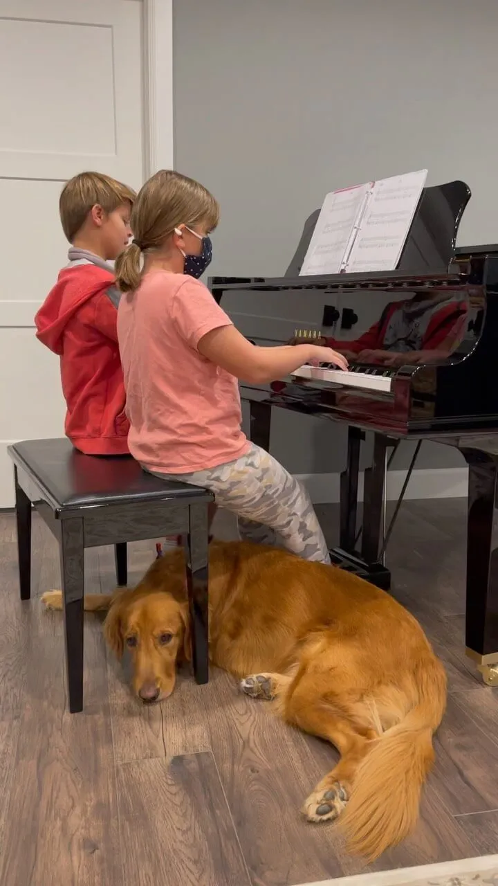 boy and girl at piano with ollie below bench
