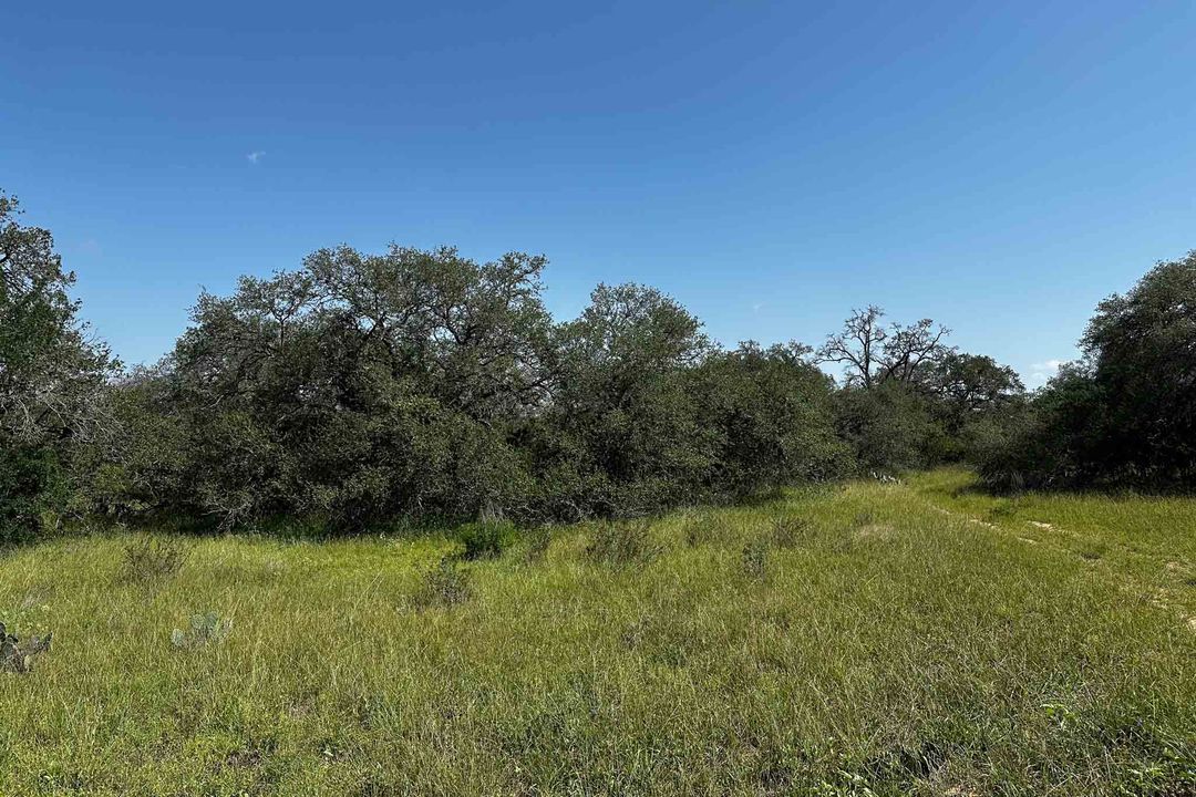 Wilson County | BRP Ranch | S of Elmendorf | Texas Ranches For Sale