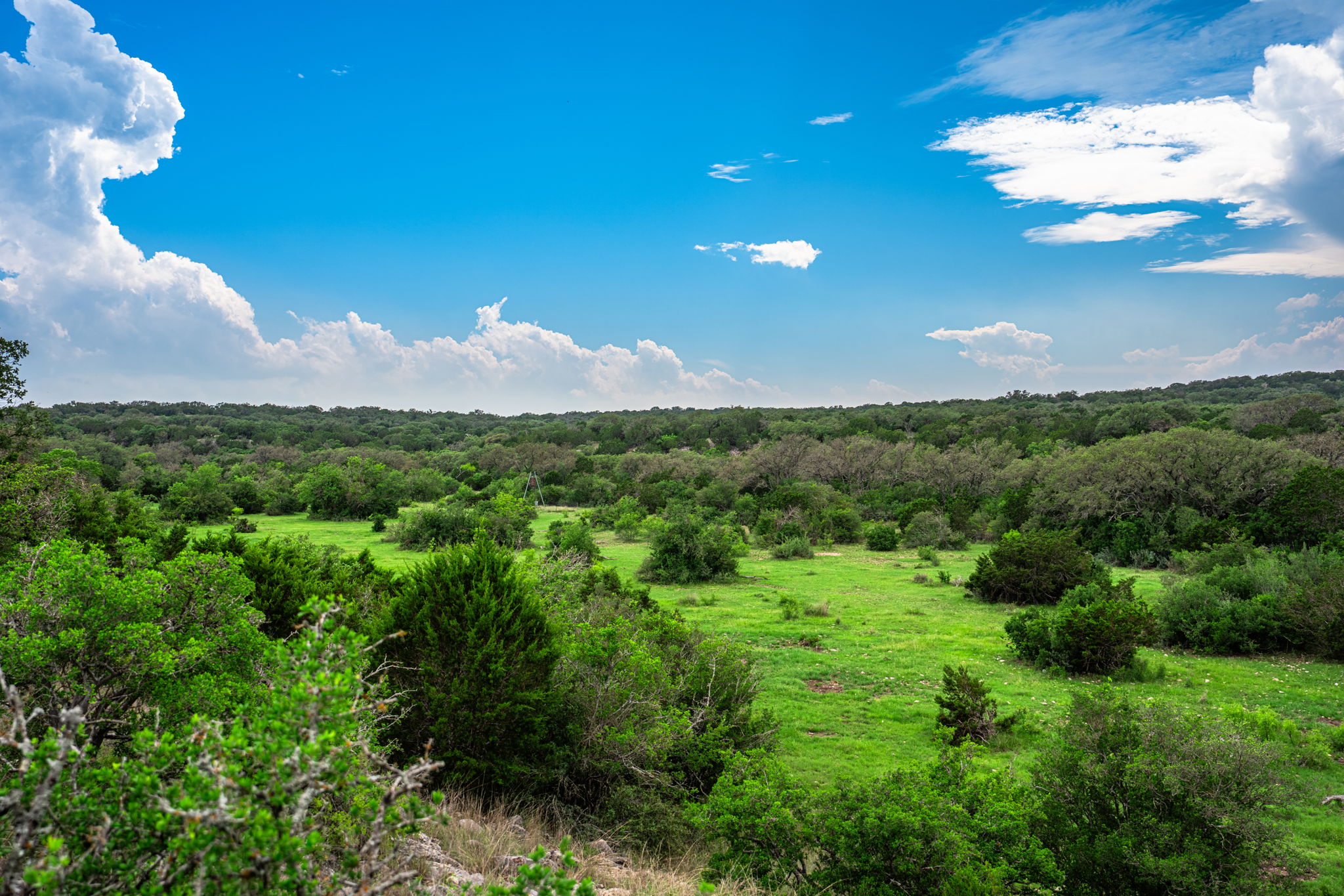 photo of ranch landscape