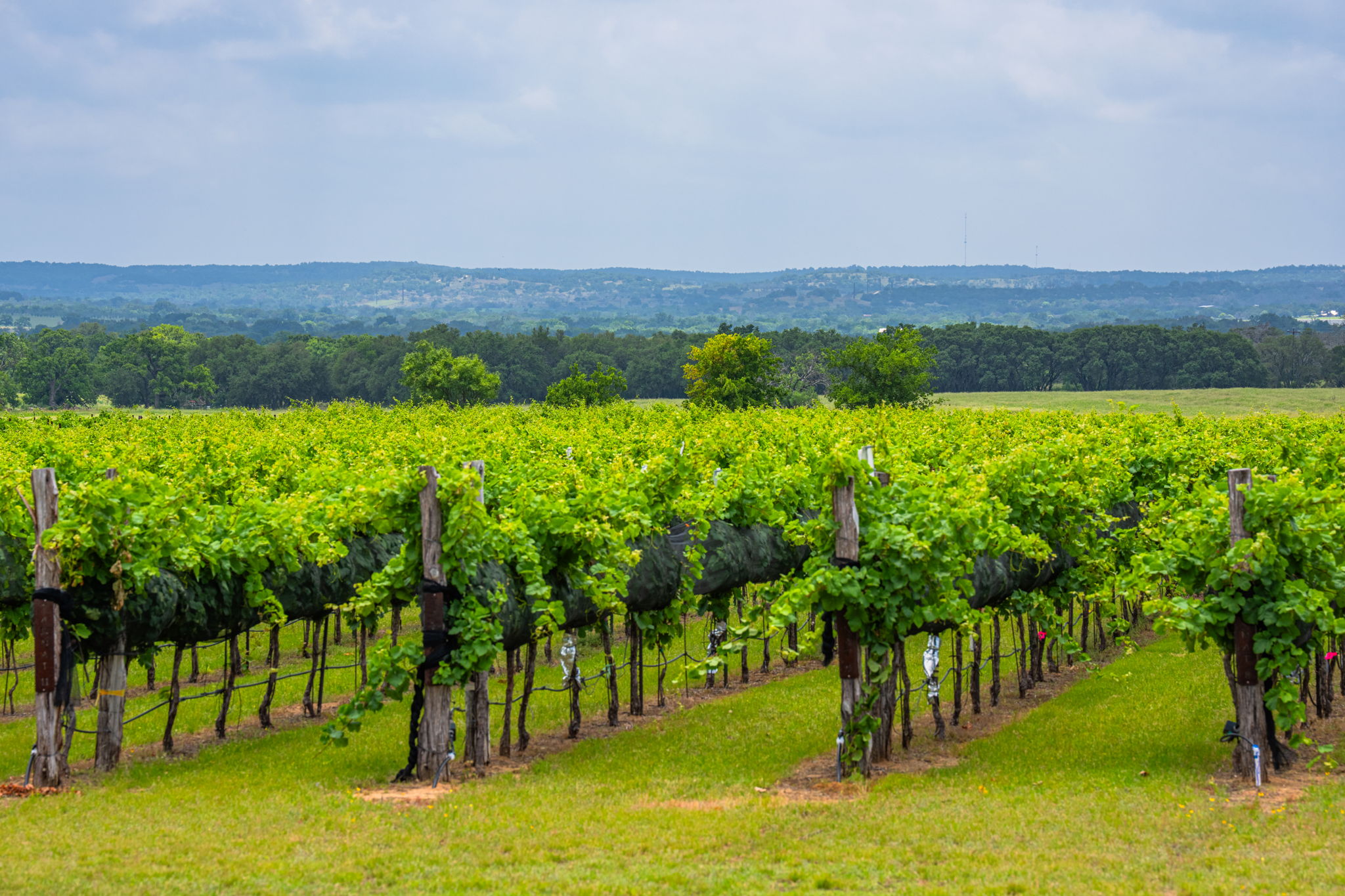 photo of ranch landscape