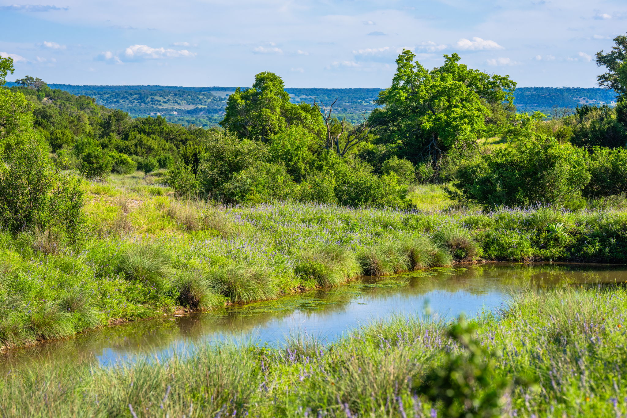 photo of ranch landscape
