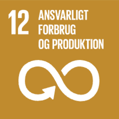 SDG 12: Responsible consumption and production