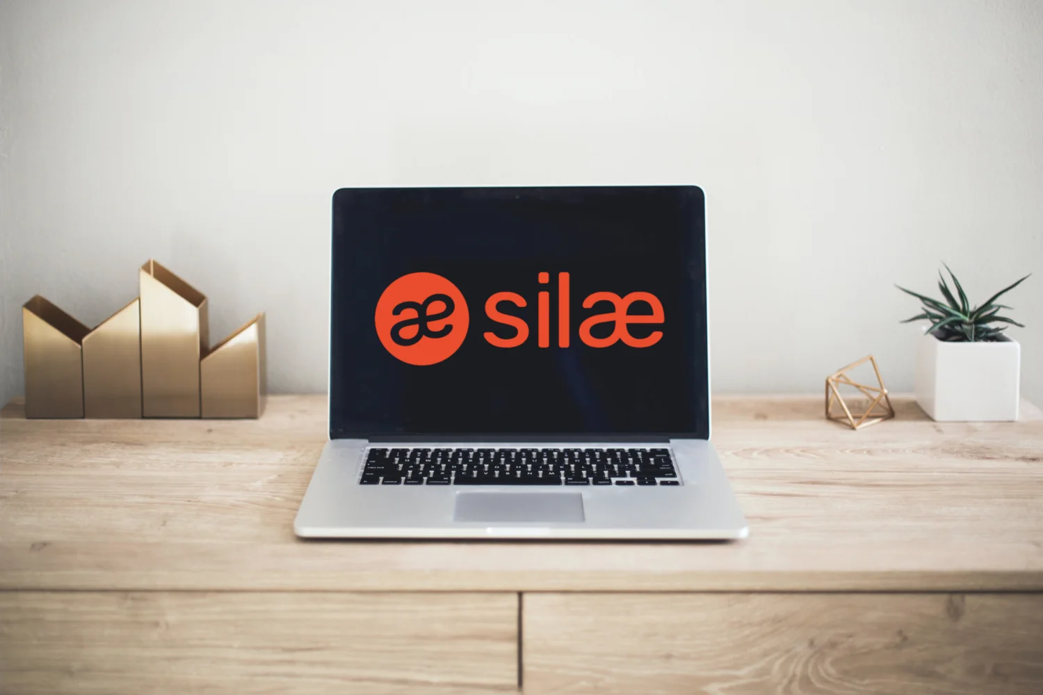 Illustration – Formation Silae