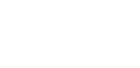 Logo STC
