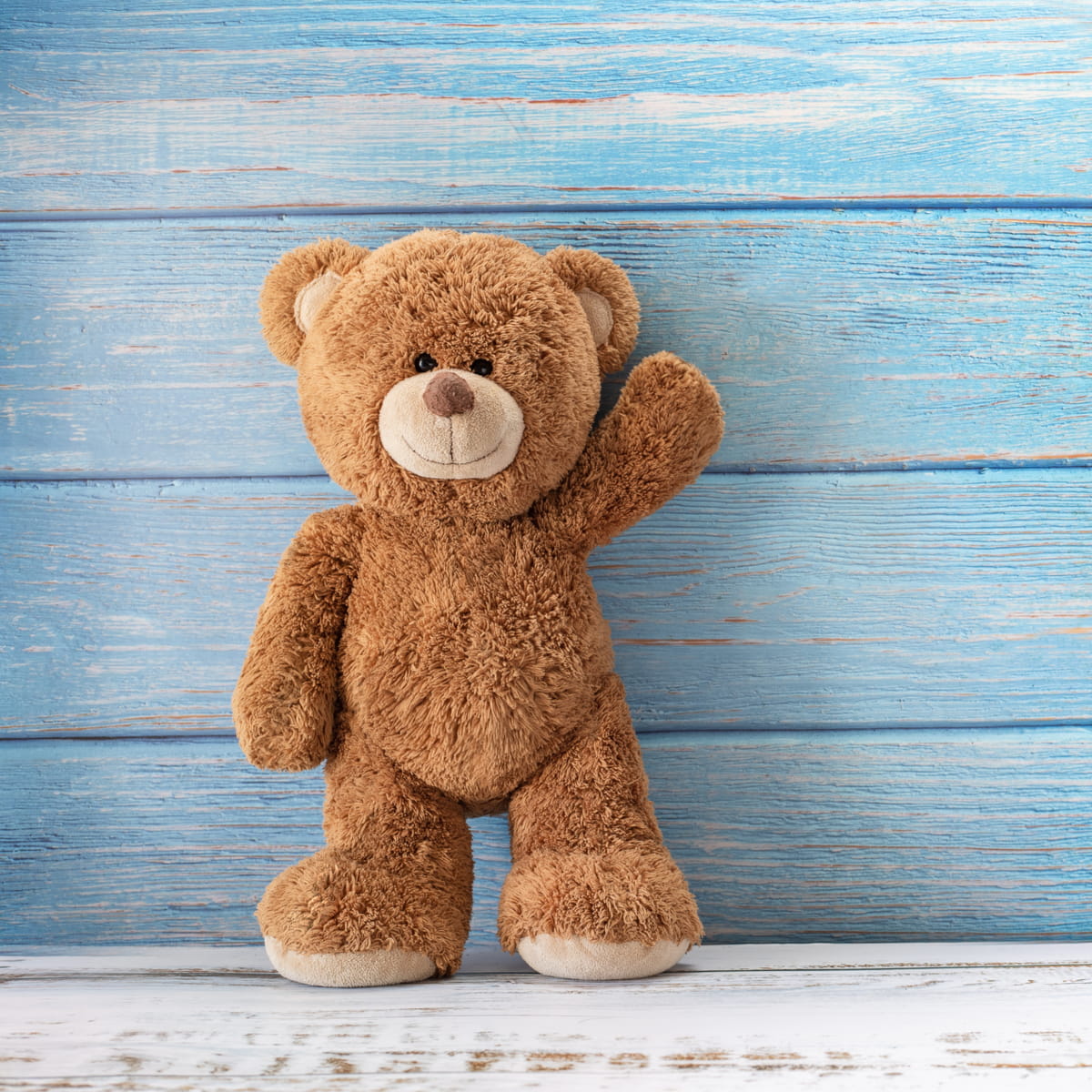 teddy
