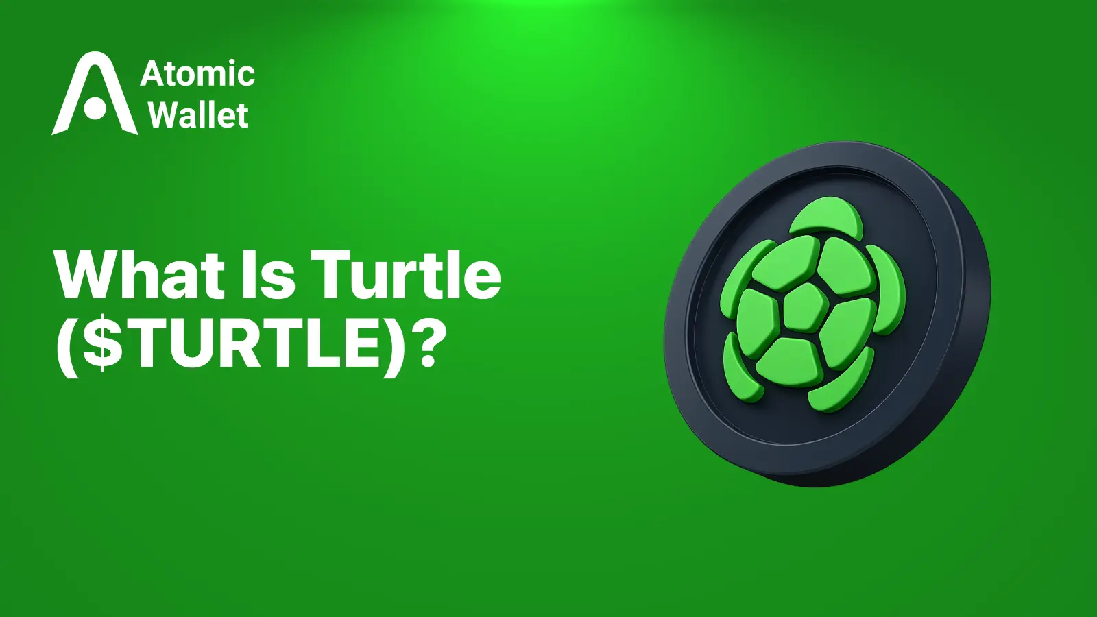 What Is Turtle ($TURTLE)? The On-Chain Liquidity Distribution Protocol Explained