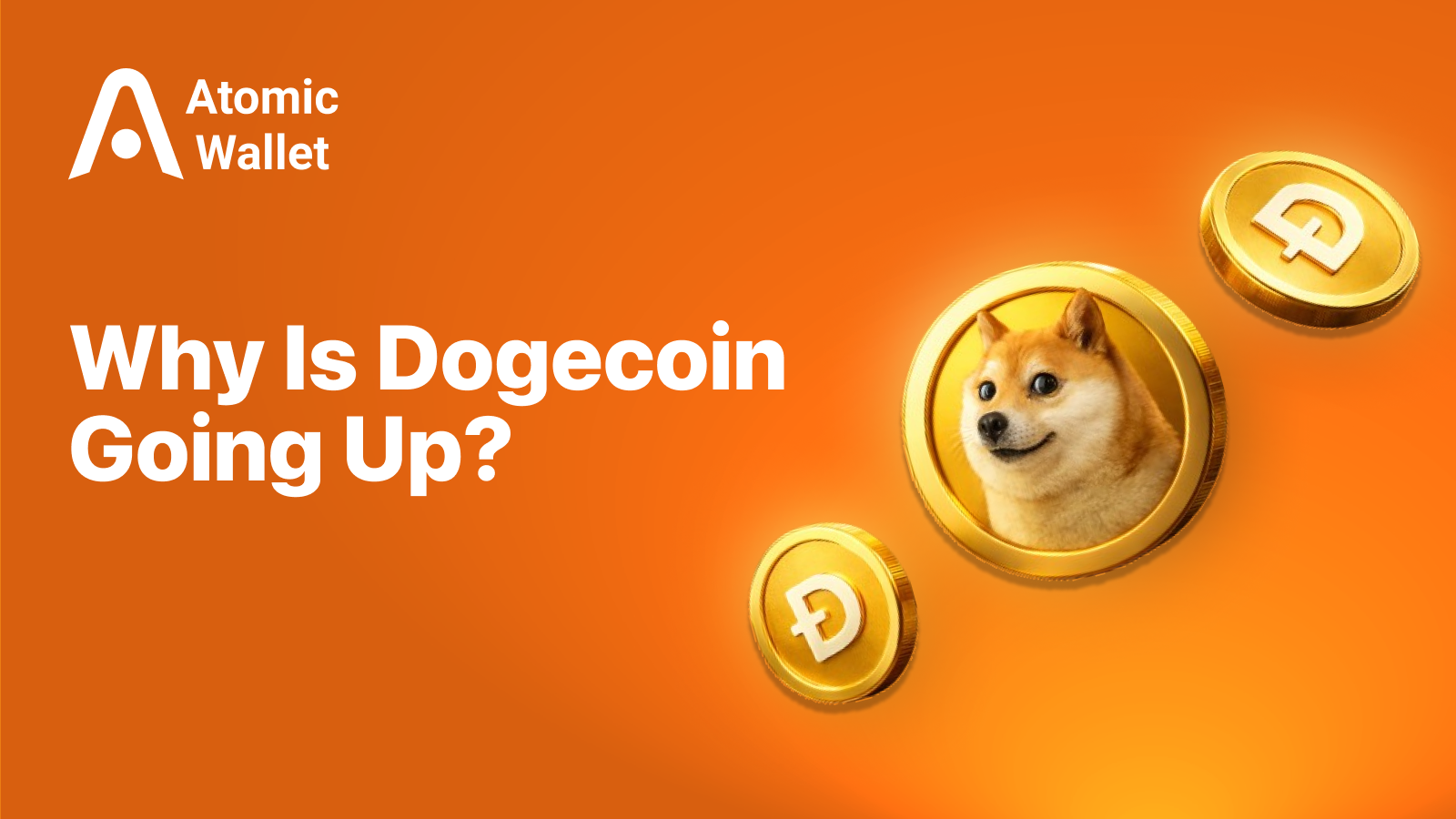 Why Is Dogecoin Going Up? Price Move Explained