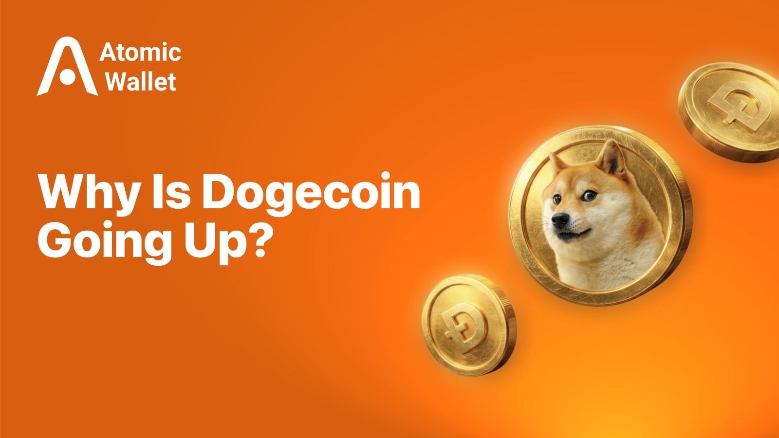 Why Is Dogecoin Going Up? Price Move Explained