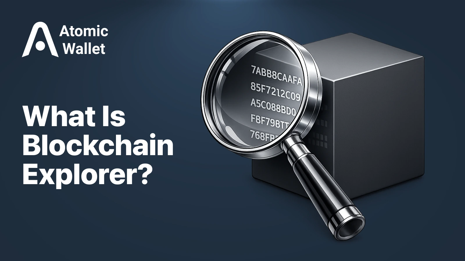 What Is a Blockchain Explorer?