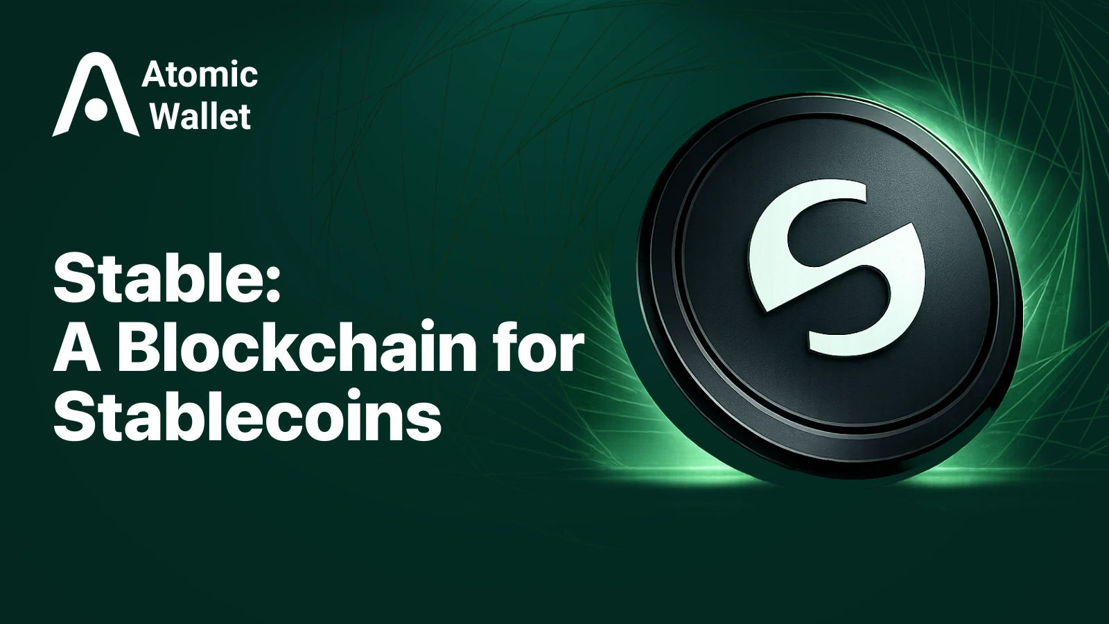 What Is Stable? The Layer 1 Built for USDT Payments