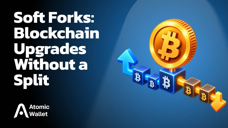 What Is a Soft Fork in Crypto? Meaning, Examples and How It Works