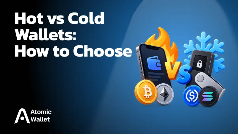 Hot Wallet vs Cold Wallet: Differences and How to Choose