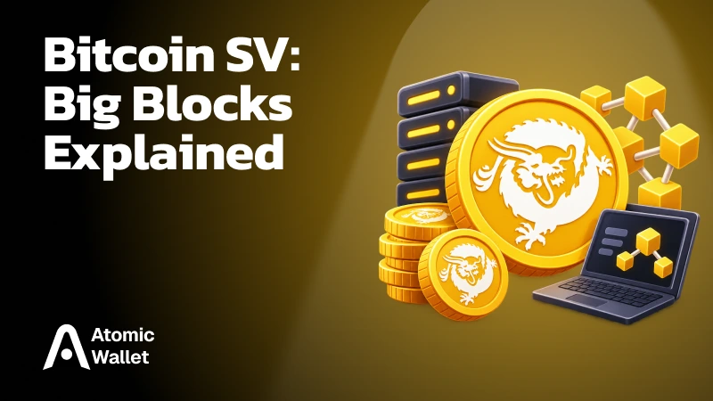 What Is Bitcoin SV (BSV)? How It Works and How It Differs From Bitcoin
