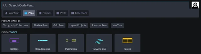 CodePen search bar options
