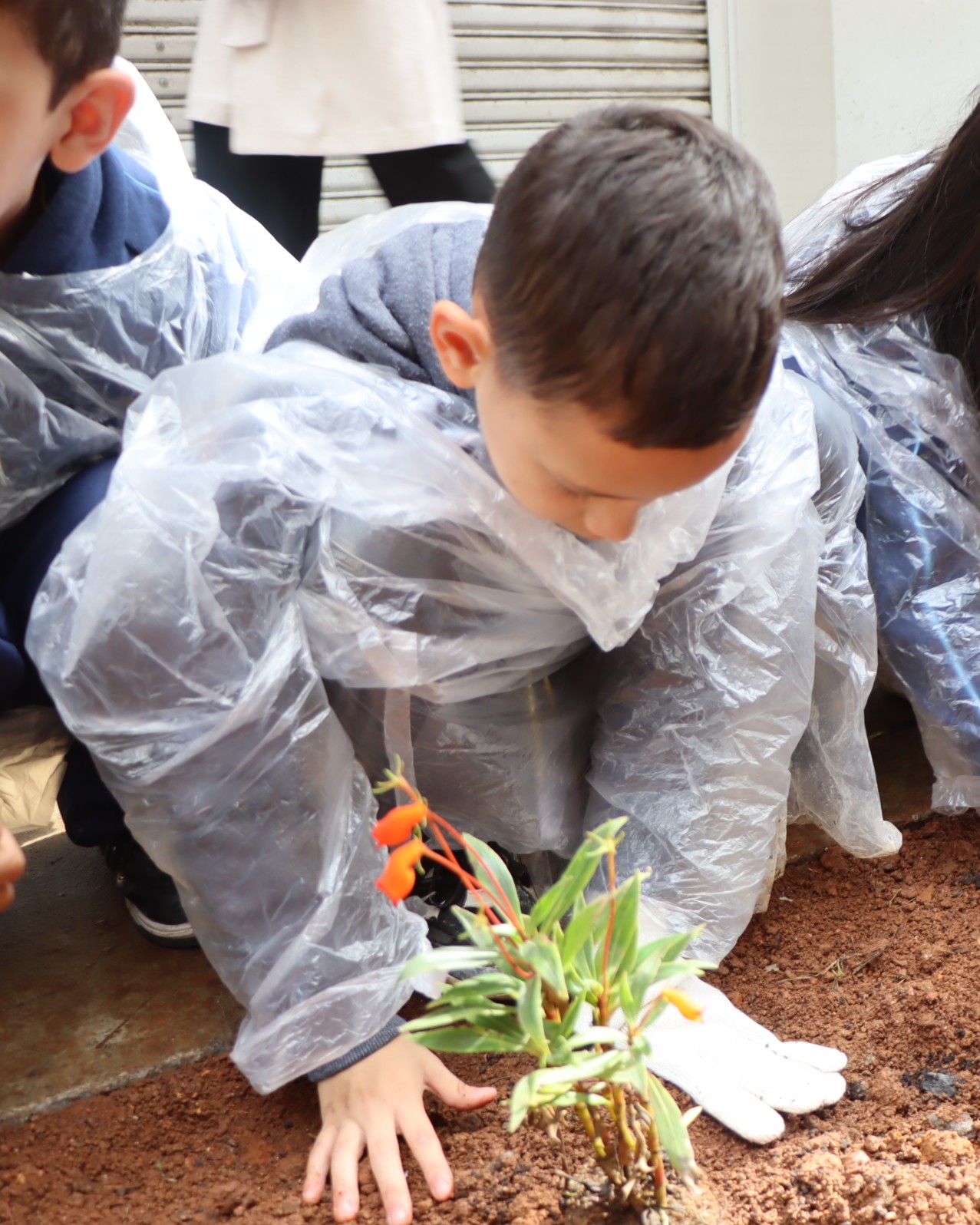 Mutirão de plantação de árvores e limpeza de ruas no Bom Retiro.