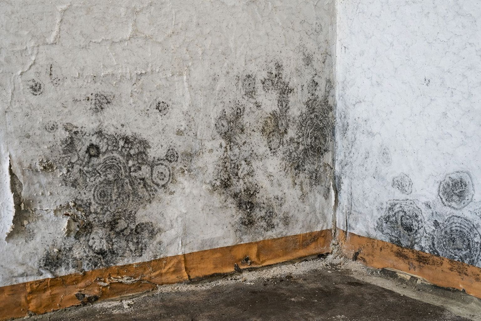 internal-wall-mould-condensation-uk.jpg