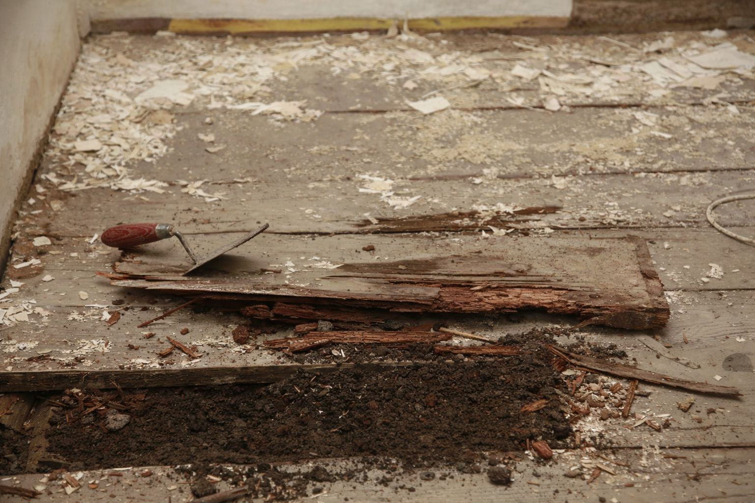 rotted-timber-floorboards-wet-rot-uk.jpg