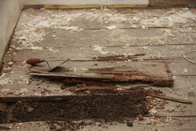 timber-floor-decay-wet-rot-thumbnail.jpg