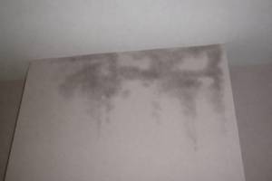chimney-damp-condensation-thumbnail.jpg