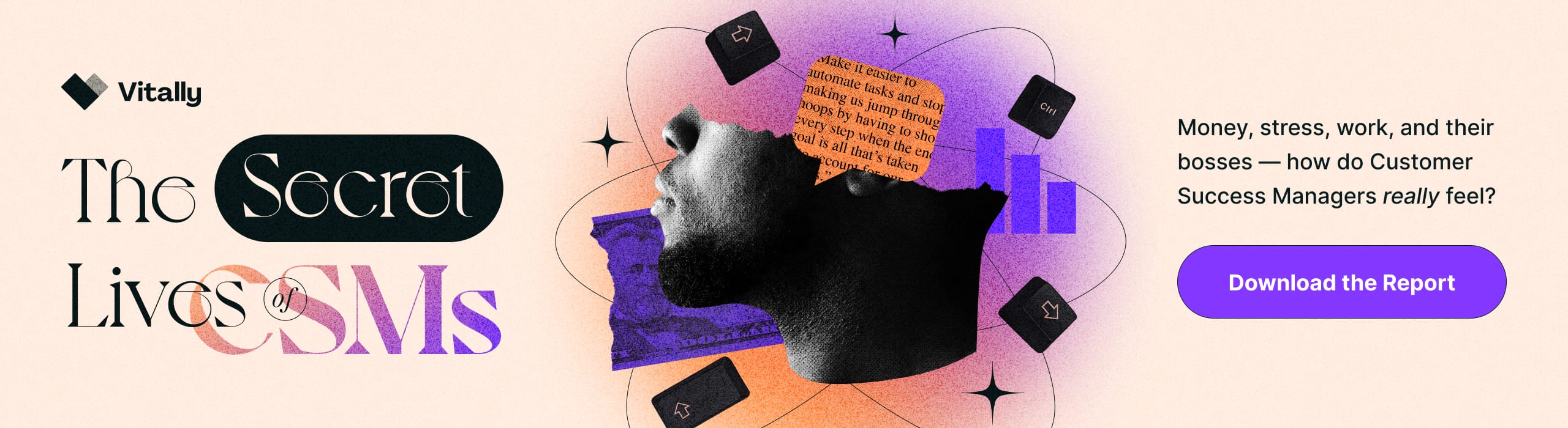 Secret Lives of CSMS