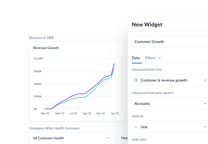 Success Network Graphic