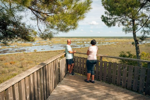 Le Tour de Gironde (V3301) à vélo : entre vignobles et océan