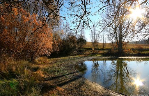 Entre Muret et Carcassonne