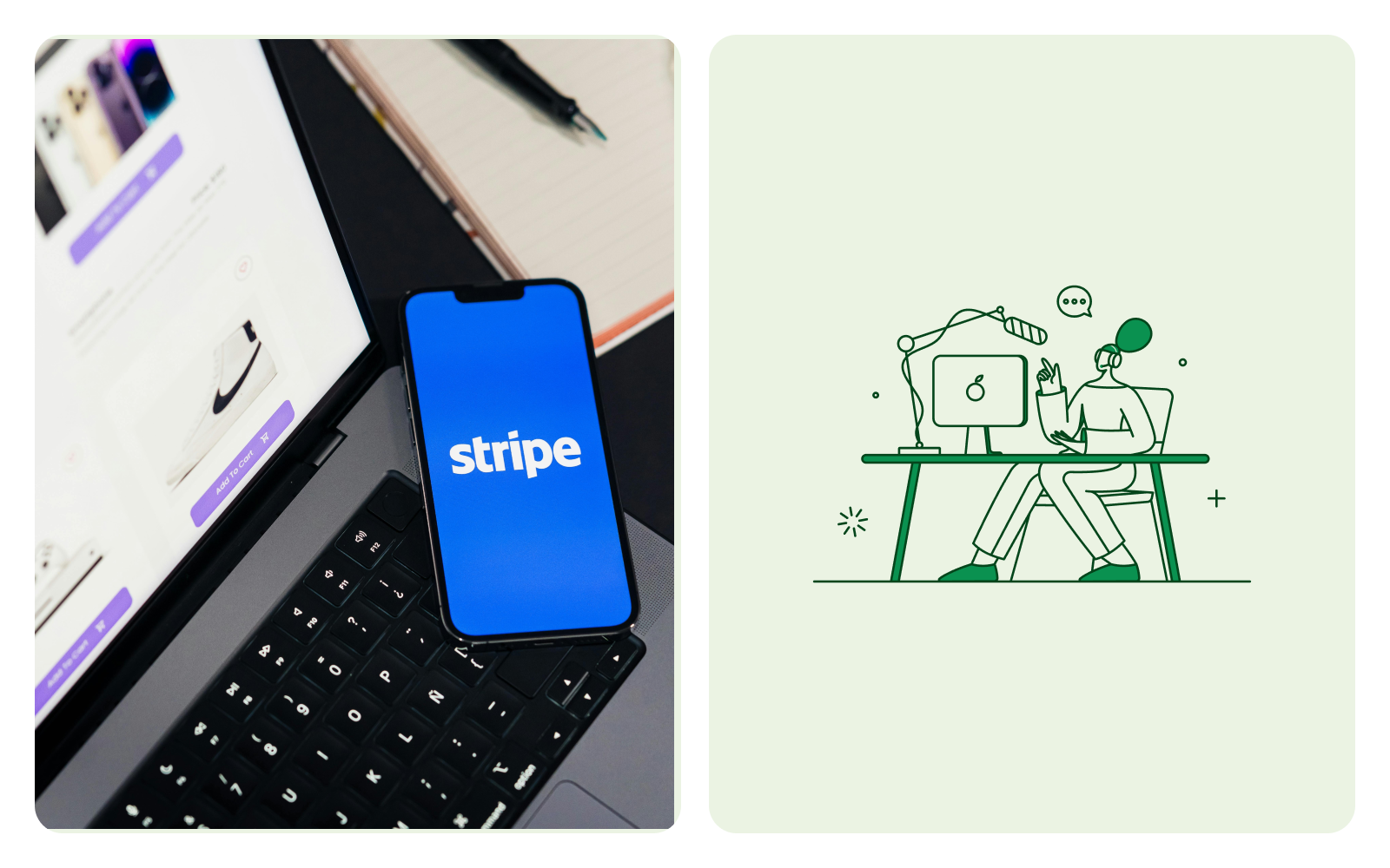 Stripe payments payouts
