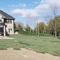 sod/soil beds/plants