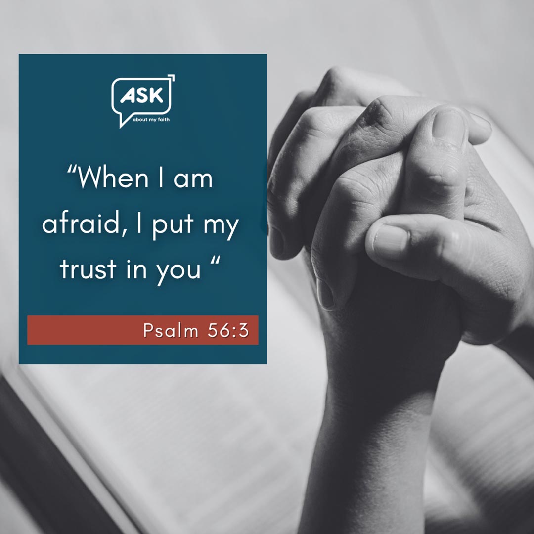 Bible Verse: Psalm 56:3 