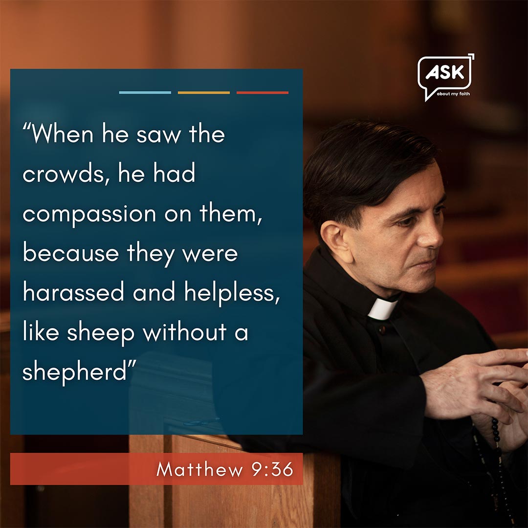 Bible Verse: Matthew 9:36