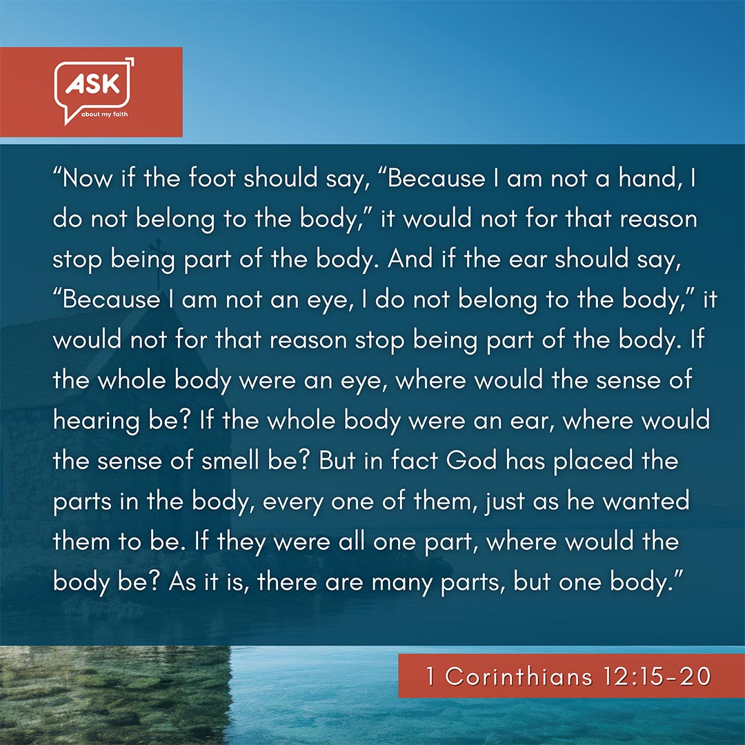 Bible Verse: 1 Corinthians 12:15-20