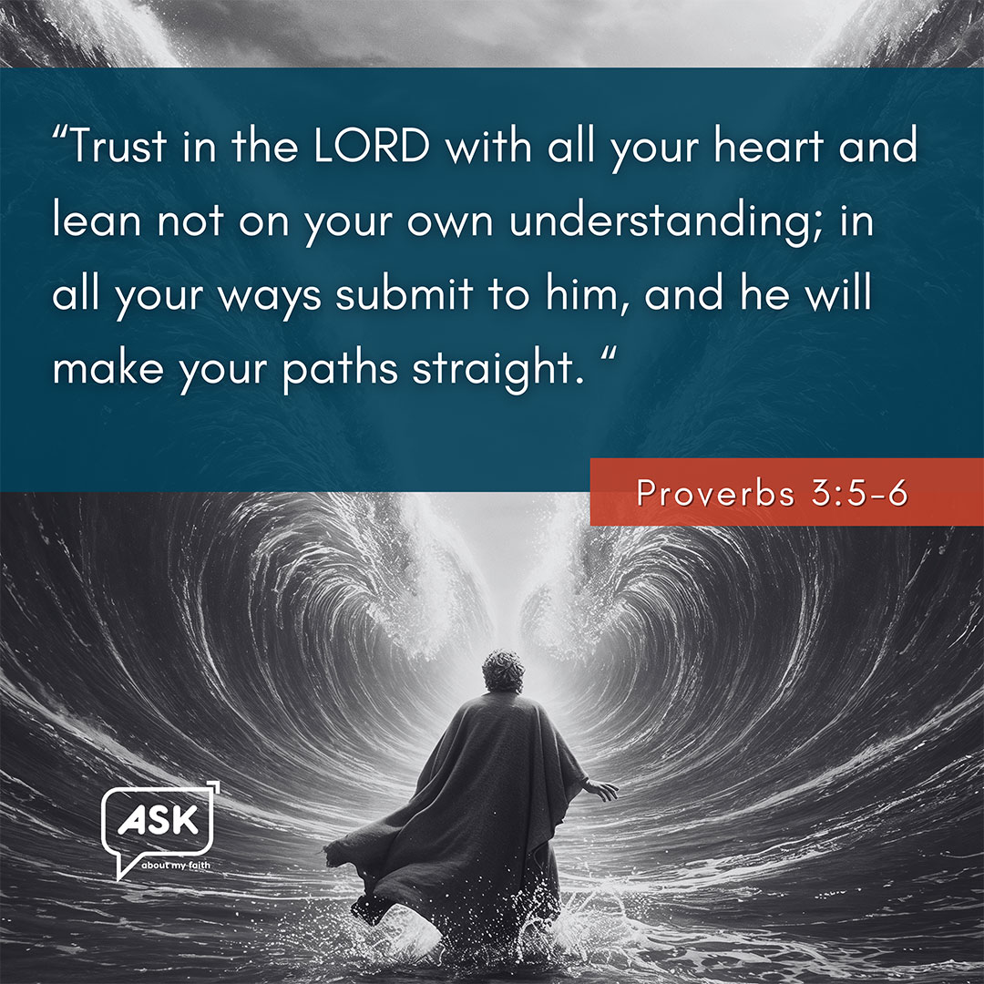 Bible Verse: Proverbs 3:5-6