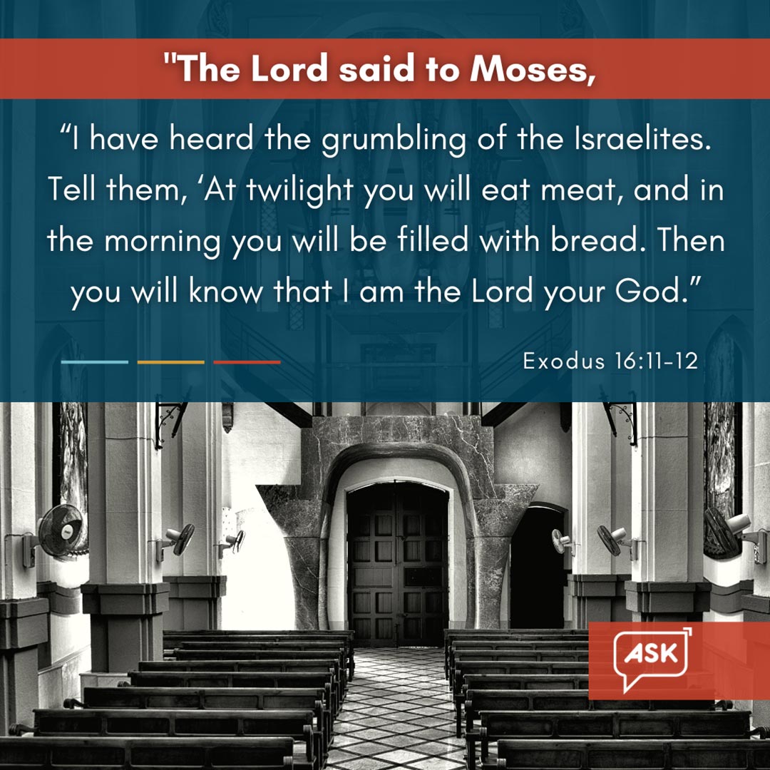 Bible Verse: Exodus 16:11-12