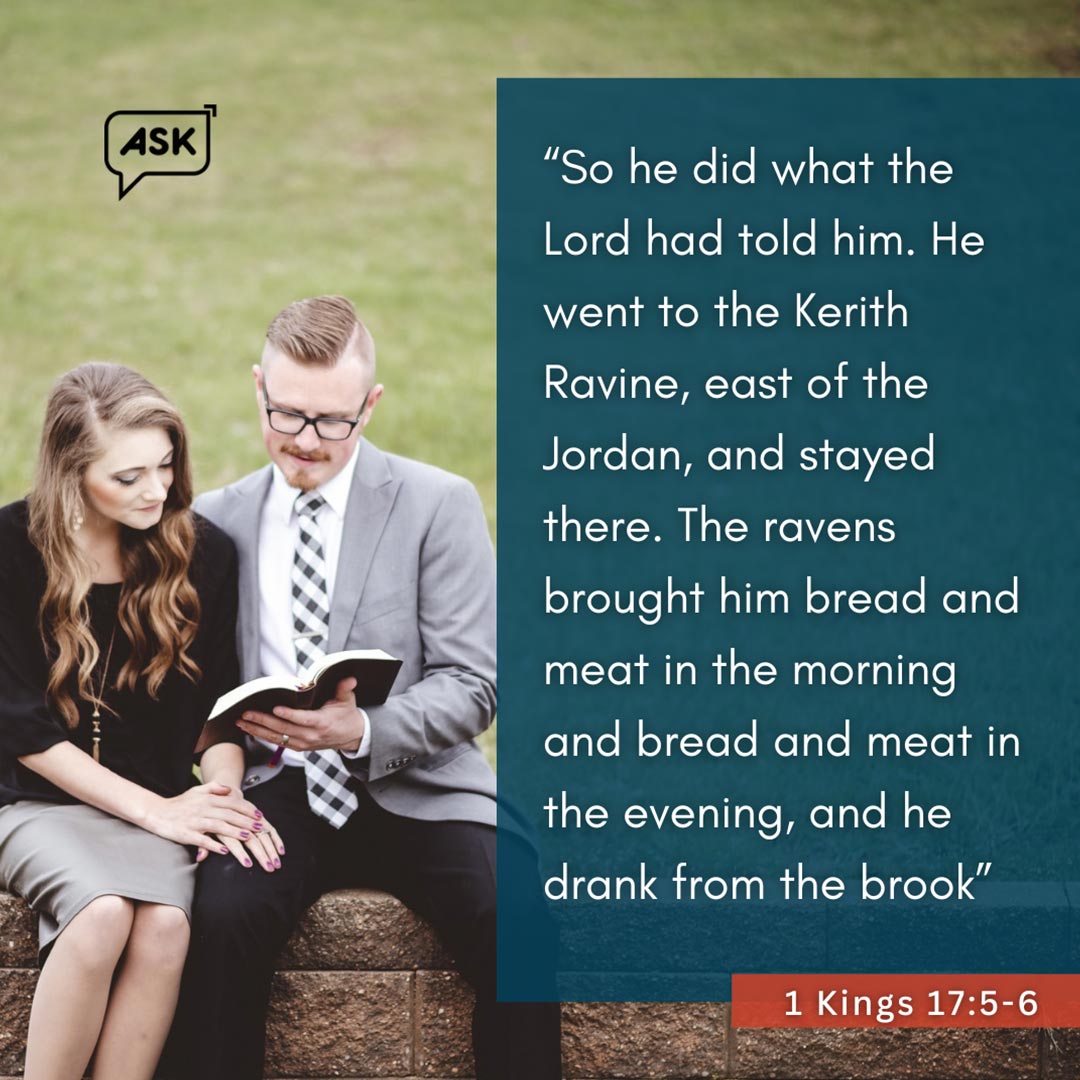 Bible Verse: 1 Kings 17:5-6