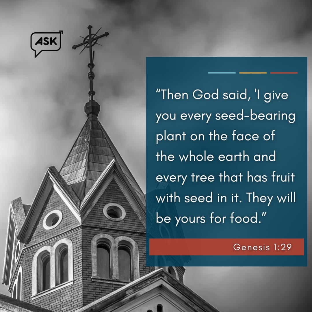 Bible Verse: Genesis 1:29