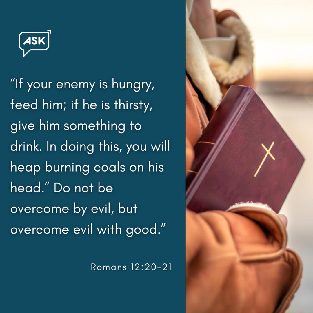 Bible Verse: Romans 12:20-21