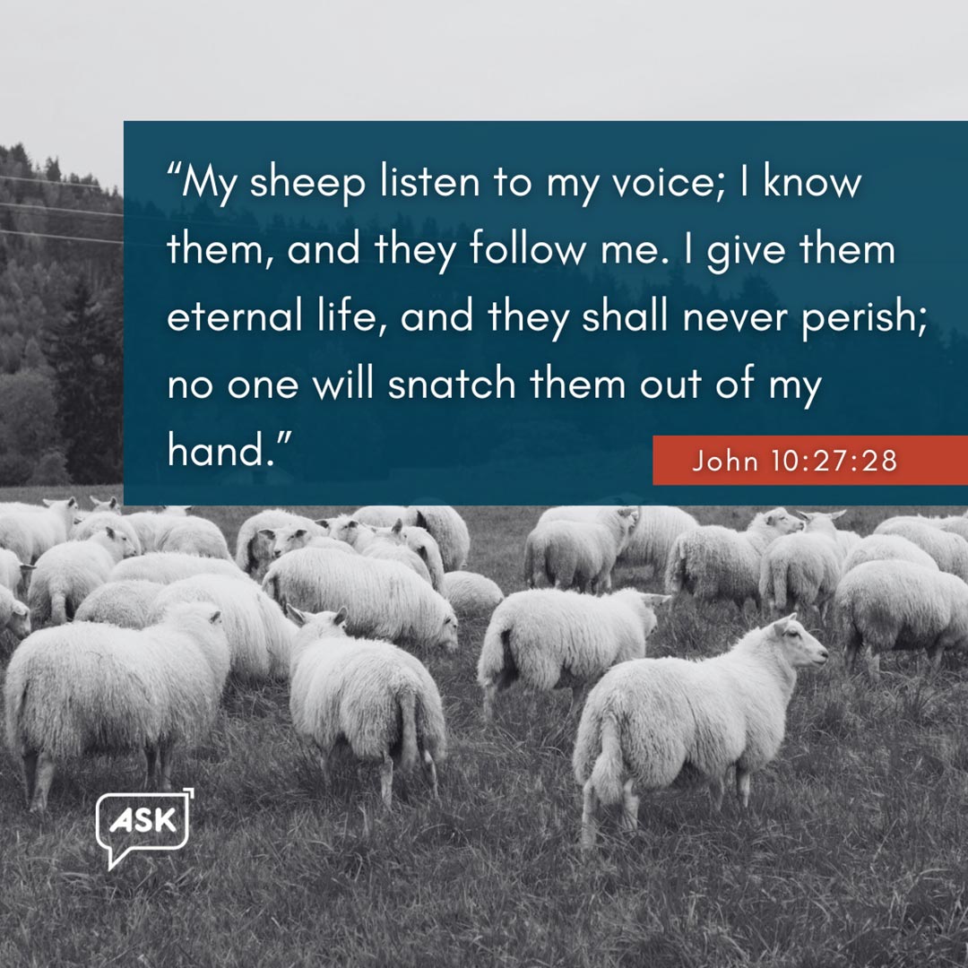 Bible Verse: John 10:27:28
