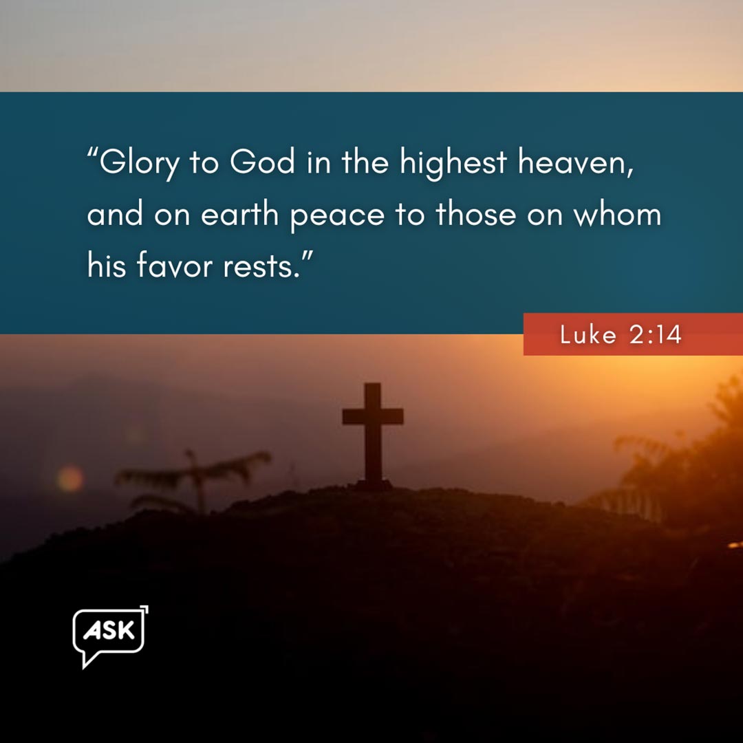 Bible Verse: Luke 2:14