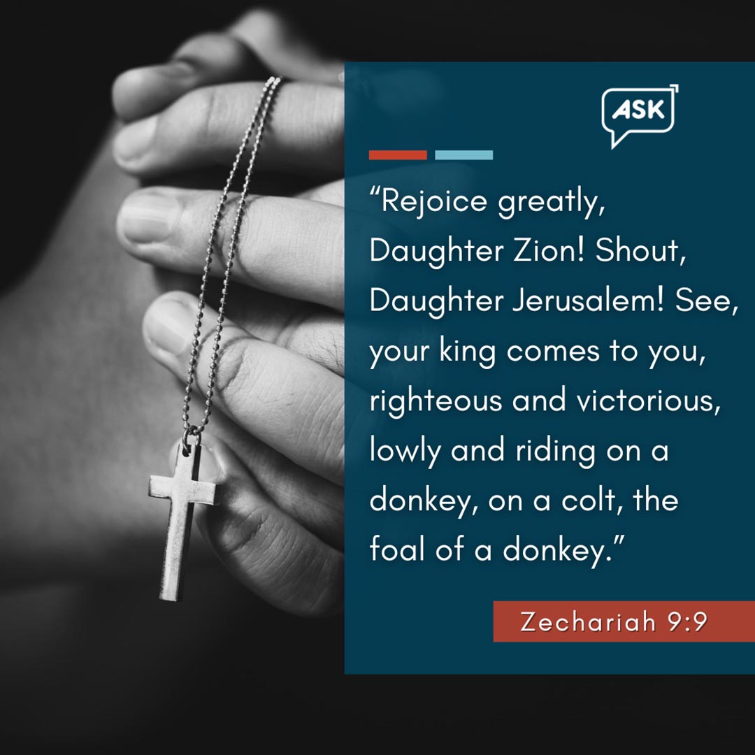 Bible Verse: Zechariah 9:9