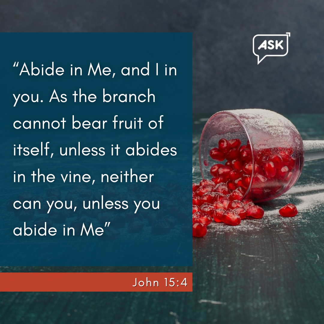 Bible Verse: John 15:4